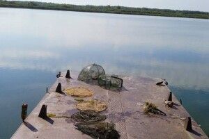 У Луцькому районі у водойму повернули майже пів сотні раків