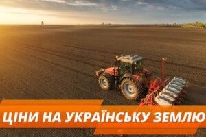 Стало відомо середня стартова ціна на землю на Волині та в Україні