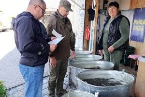 У Луцьку на ринках перевірили місця продажу рибної продукції