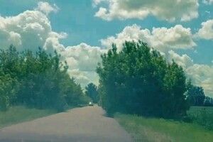 Жителі волинського села вимагають прибрати «тунель кохання»