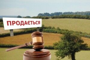 На Волині  в ході земельних торгів вартість права оренди на ділянку зросла у тринадцять разів
