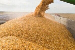 Польський міністр каже, що переговори з Україною продовжуються після заборони імпорту зерна