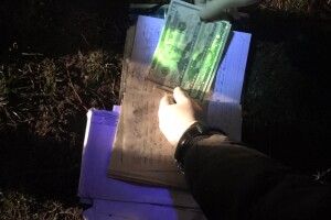 На Рівненщині на отриманні хабаря викрили інспектора одного з районних управлінь ДСНС