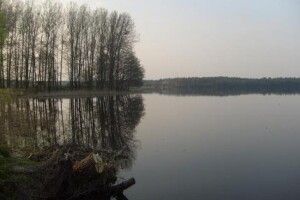 На Рівненщині знайшли мертвими двох чоловіків