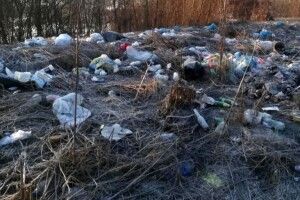 Замотала в ганчір'я і дочекалася темряви: 17-річна породілля викинула немовля на смітник – дитину знайшли мертвою