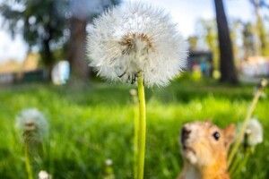 Синоптик розповіла, якою буде погода на Волині на вихідні