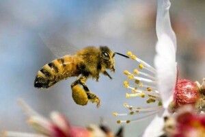 Погода на п'ятницю, 30 квітня: весна нарешті скаже зимі «Прощавай!»