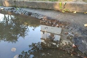 Калюжі не встигають висихати: лучанин скаржиться на жахливий стан доріг у дворі (Фото)