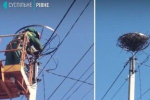 Як на Поліссі будували безпечні гнізда для лелек