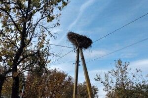 З нового року в Україні  у рази збільшаться тарифи на електроенергію 