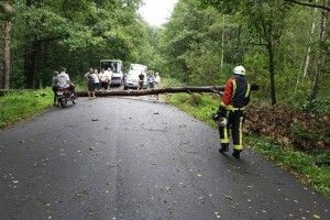 На Рівненщині буревій звалив на дорогу чотири дерева (Фото)