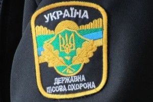 84 «ялинкових»  браконьєрів заплатили штрафи