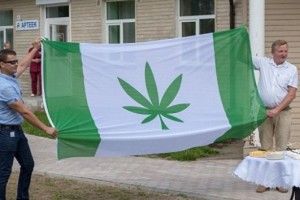 Гордо замайорів «конопляний» прапор!