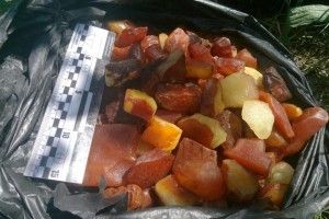 Сарненські патрульні злапали перевізника бурштину