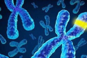 У Китаї вченого засудили на три роки. Він відредагував гени ембріонів