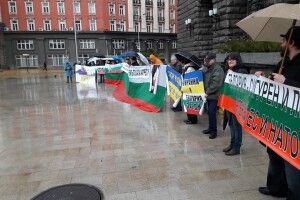 У Болгарії протестували проти російських виборів в окупованому Криму