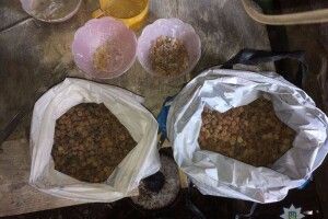 На Волині ліквідували три підпільні цехи з обробки бурштину