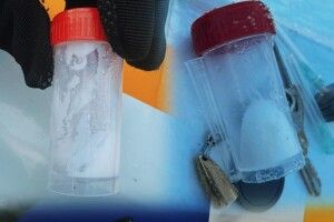 На Волині затримали трьох чоловіків з наркотичними речовинами