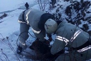 Бійці ДСНС врятували хвостатого потопельника (фото)
