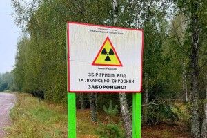 На Житомирщині викрили схему вирощування та збуту сільгосппродукції із зони відчуження ЧАЕС