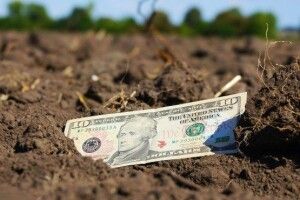 В Україні ціни на землю зростуть до 5 тисяч доларів за гектар