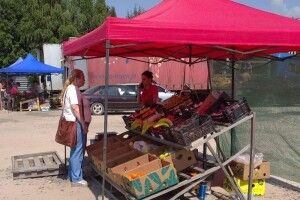 У селі Світязь зловили 22 нелегальні працівники