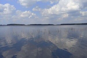 На Волині рибпатруль спіймав чергових порушників