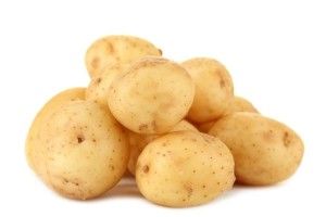 Кооператив «Волинська картопля» вирощуватиме чіпсові та висококрохмальні сорти картоплі