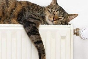 У квартирах лучан нарешті буде тепло