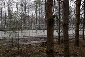 Яка ситуація на волинському кордоні з білоруссю на ранок 8 січня