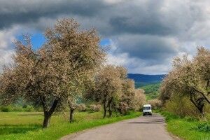 Що чекає на українців в травні: п'ять нововведень, які торкнуться кожного