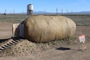 Як живеться людям у гігантській... картоплині?