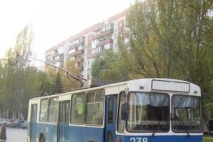 Вагітній рівнянці подарували прогулянку на старовинному тролейбусі з музикою (Відео)