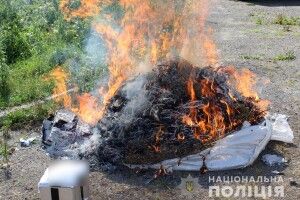 У Ковелі поліція спалила канабіс, амфетамін та димедрол