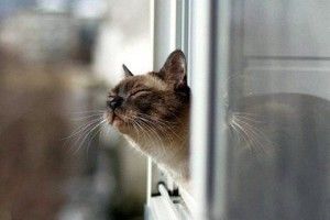 В пріоритеті перевиховання неповнолітніх – освіта, працевлаштування та здоровий спосіб життя