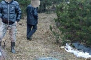На  Стоході зловили рибних браконьєрів
