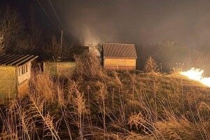На Волині через пожежу сухої трави ледь не згорів дачний масив 