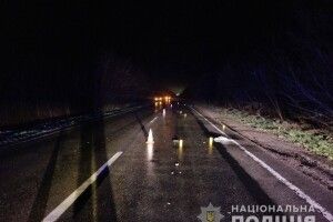 На трасі «Ковель-Тереблече» авто на смерть збило людину (Фото) 