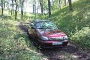 У Ковельському районі Волині чоловік випив і поцупив дорогу автівку з лісу