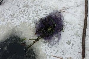 Волинські браконьєри примудряються ставити сіті навіть під кригою (Фото)