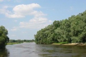 Україна може втратити 5 тисяч гектарів волинської землі на користь Польщі