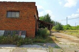 «Син був наляканим»: мати підозрюваного у вбивстві Мирослави Третяк заявила, що з дітьми був чоловік
