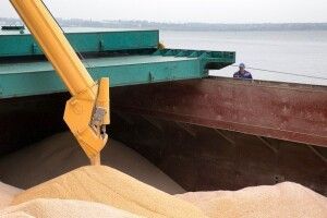 Україна безкоштовно надасть зерно Ефіопії та Сомалі, які потерпають від голоду 