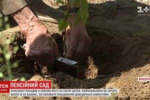Пенсіонер з Миколаєва самотужки висадив у місті 20 тисяч дерев