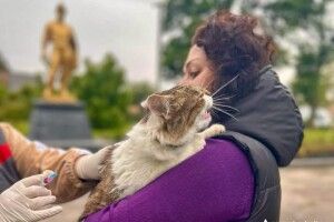 Захистіть чотирилапих: де сьогодні на Волині стартує безкоштовна вакцинація тварин