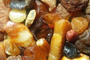 На Волині покарали бурштинокопача