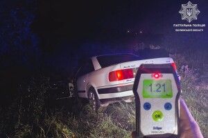 Поблизу Луцька «Audi» опинилася в кюветі через п'яного водія