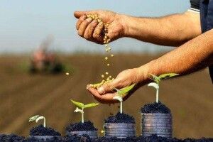 Агропідприємств Волині залучили понад 2,4 млрд грн кредитів на розвиток