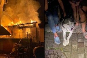 У Рівному чотирилапий друг врятував цілий будинок