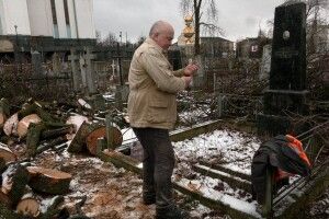 У Рівному на кладовищі зрізали вікові дерева